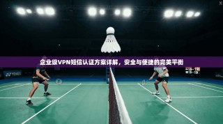 企业级VPN短信认证方案详解，安全与便捷的完美平衡