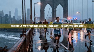 开源MPLS VPN技术解析与实践，构建高效、灵活的企业网络架构