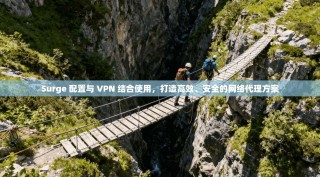 Surge 配置与 VPN 结合使用，打造高效、安全的网络代理方案