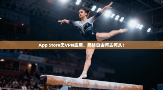 App Store无VPN应用，网络自由何去何从？