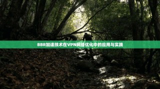 BBR加速技术在VPN网络优化中的应用与实践
