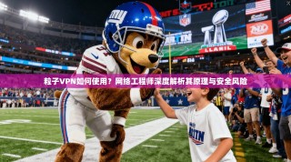 粒子VPN如何使用？网络工程师深度解析其原理与安全风险