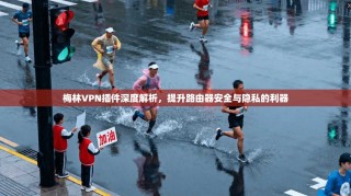 梅林VPN插件深度解析，提升路由器安全与隐私的利器