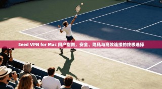 Seed VPN for Mac 用户指南，安全、隐私与高效连接的终极选择