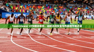 TeamViewer VPN模块解析，远程访问安全与性能的平衡之道