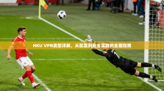HKU VPN类型详解，从配置到安全实践的全面指南
