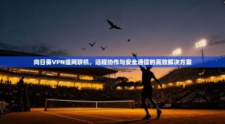 向日葵VPN组网联机，远程协作与安全通信的高效解决方案
