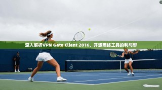 深入解析VPN Gate Client 2016，开源网络工具的利与弊