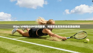 IPSec VPN与OSPF协同部署，构建安全高效的动态路由网络