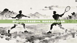 如何在PSVita上安全挂载VPN，网络配置与隐私保护指南