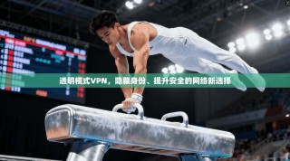 透明模式VPN，隐藏身份、提升安全的网络新选择