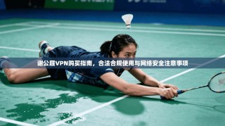 谢公屐VPN购买指南，合法合规使用与网络安全注意事项