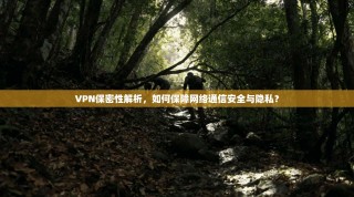 VPN保密性解析，如何保障网络通信安全与隐私？