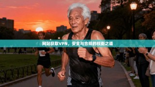 网站获取VPN，安全与合规的权衡之道