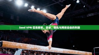 Seed VPN 信息解析，安全、隐私与网络自由的利器