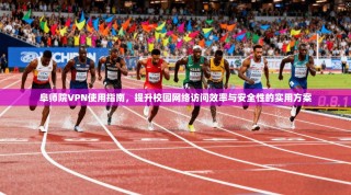 阜师院VPN使用指南，提升校园网络访问效率与安全性的实用方案