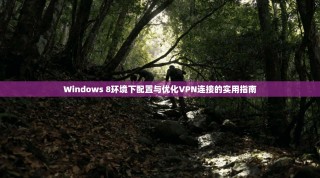 Windows 8环境下配置与优化VPN连接的实用指南