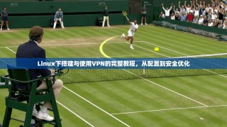 Linux下搭建与使用VPN的完整教程，从配置到安全优化