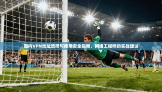 国内VPN地址选择与使用安全指南，网络工程师的实战建议