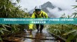 手把手教你用Windows Server 2008搭建PPTP VPN服务器—从零开始的网络连接解决方案