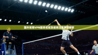国外常用VPN服务名称及使用注意事项解析