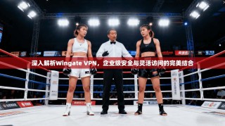 深入解析Wingate VPN，企业级安全与灵活访问的完美结合