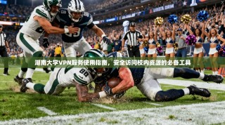 湖南大学VPN服务使用指南，安全访问校内资源的必备工具