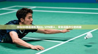 IBR690路由器配置SSL-VPN接入，安全远程办公的利器