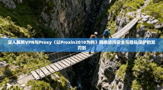 深入解析VPN与Proxy（以Proxin2010为例）网络访问安全与隐私保护的双刃剑
