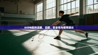 6VPN软件详解，功能、安全性与使用建议