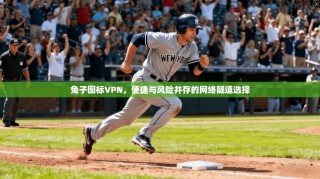 兔子图标VPN，便捷与风险并存的网络隧道选择