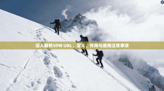 深入解析VPN URL，定义、作用与使用注意事项