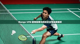 Mango VPN 使用指南与网络安全性深度解析