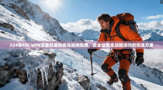 224年SSL VPN设备权威排名与选购指南，企业级安全远程访问的优选方案