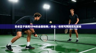 安卓盒子使用VPN的全面指南，安全、合规与网络优化策略