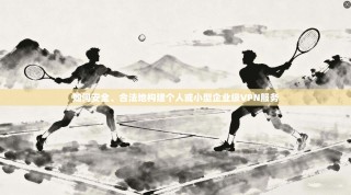 如何安全、合法地构建个人或小型企业级VPN服务