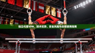 独立代理VPN，技术优势、安全风险与合规使用指南