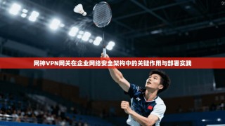 网神VPN网关在企业网络安全架构中的关键作用与部署实践
