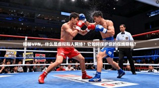 揭秘VPN，什么是虚拟私人网络？它如何保护你的在线隐私？