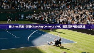 在Linux系统中部署Cisco AnyConnect VPN，配置指南与最佳实践