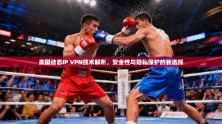 美国动态IP VPN技术解析，安全性与隐私保护的新选择