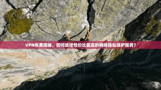 VPN年费揭秘，如何选择性价比最高的网络隐私保护服务？