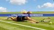 Lollipop VPN下载全解析，安全与便利的双刃剑