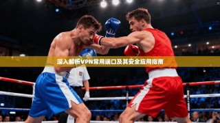 深入解析VPN常用端口及其安全应用指南