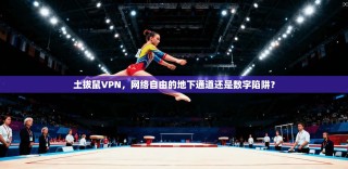 土拔鼠VPN，网络自由的地下通道还是数字陷阱？