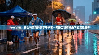 Pro6VPN，安全与隐私的数字守护者—网络工程师视角下的深度解析