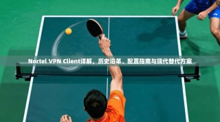 Nortel VPN Client详解，历史沿革、配置指南与现代替代方案