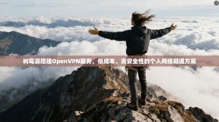 树莓派搭建OpenVPN服务，低成本、高安全性的个人网络隧道方案