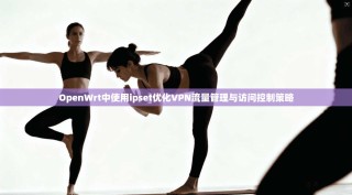 OpenWrt中使用ipset优化VPN流量管理与访问控制策略