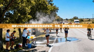 海豚VPN与联通网络兼容性深度解析，性能、稳定性与使用建议